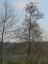 P1040742