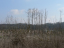 P1040762