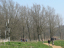 P1040769