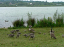 P1060271