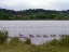 P1070060