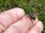 P1070505-copy
