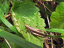P1070519