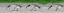 geese
